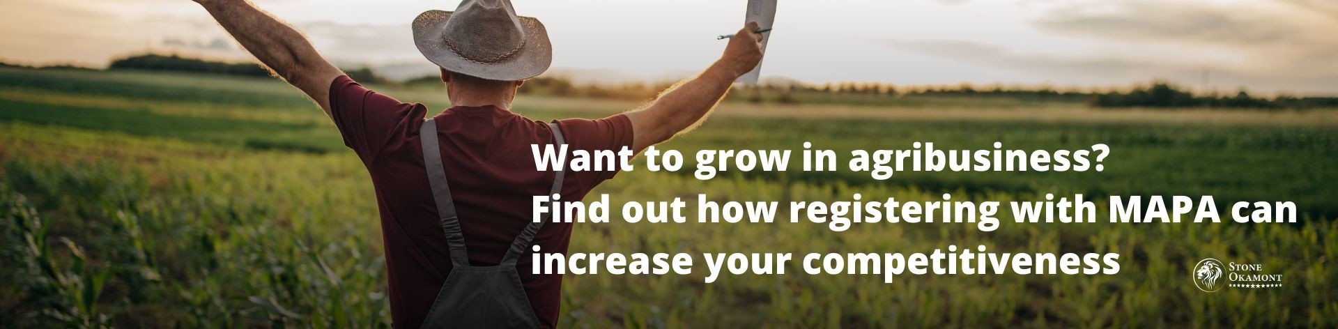Want to grow in agribusiness? Find out how registering with MAPA can increase your competitiveness