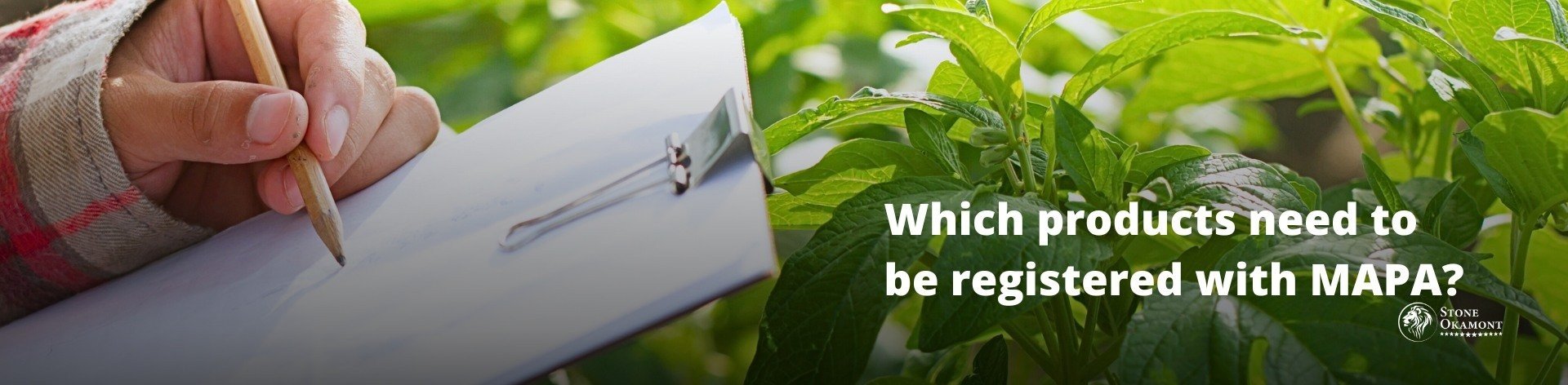 Which products need to be registered with MAPA?