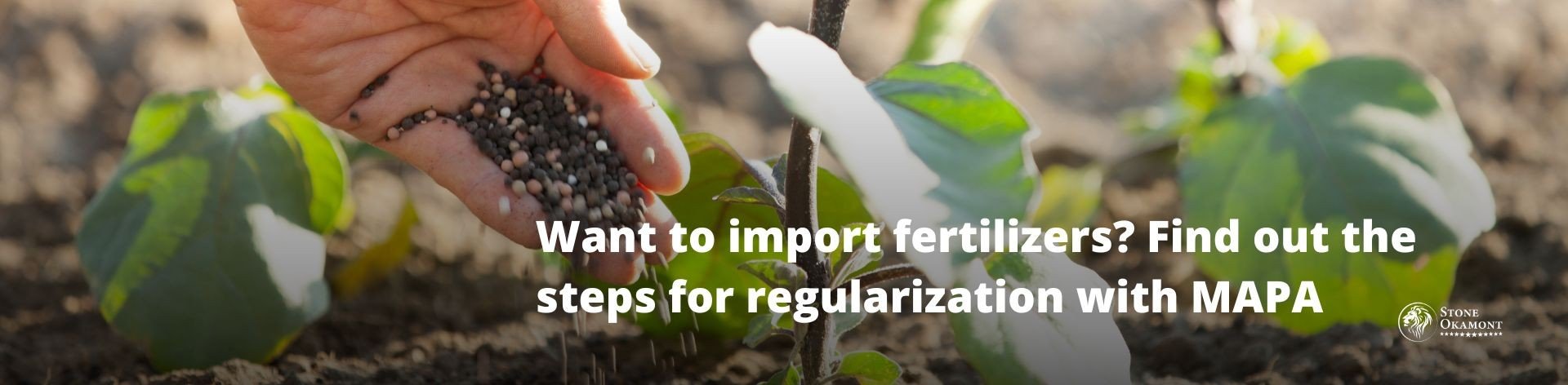 Want to import fertilizers? Find out the steps for regularization with MAPA