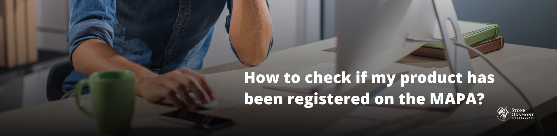 HOW TO CHECK IF MY PRODUCT HAS BEEN REGISTERED ON THE MAPA?