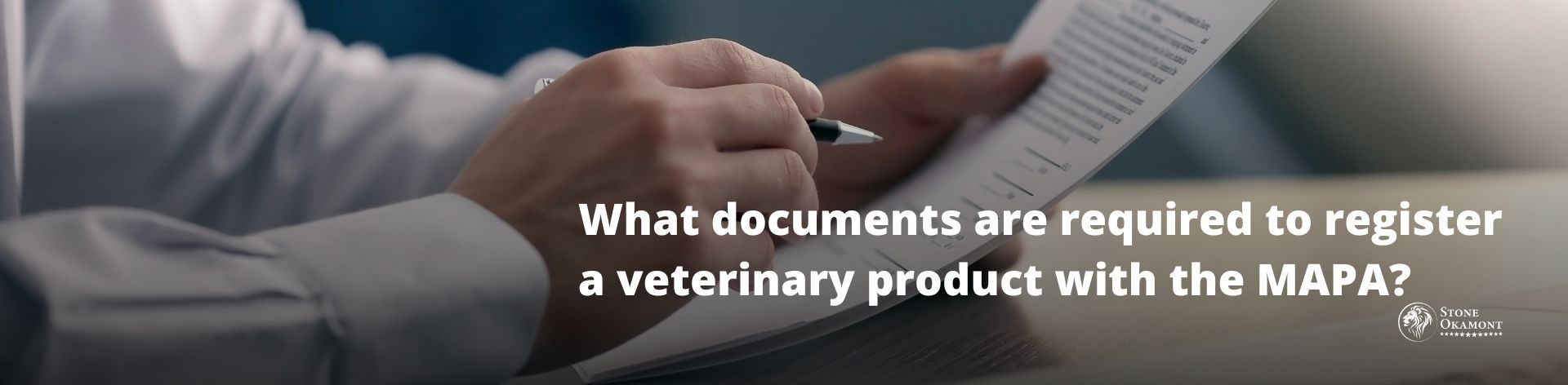 WHAT DOCUMENTS ARE REQUIRED TO REGISTER A VETERINARY PRODUCT WITH THE MAPA?