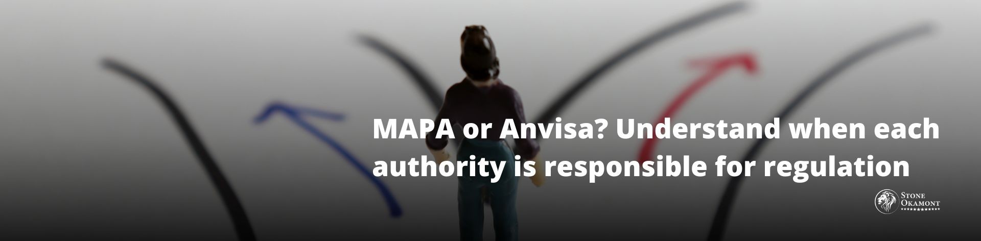 MAPA OR ANVISA? UNDERSTAND WHEN EACH AUTHORITY IS RESPONSIBLE FOR REGULATION