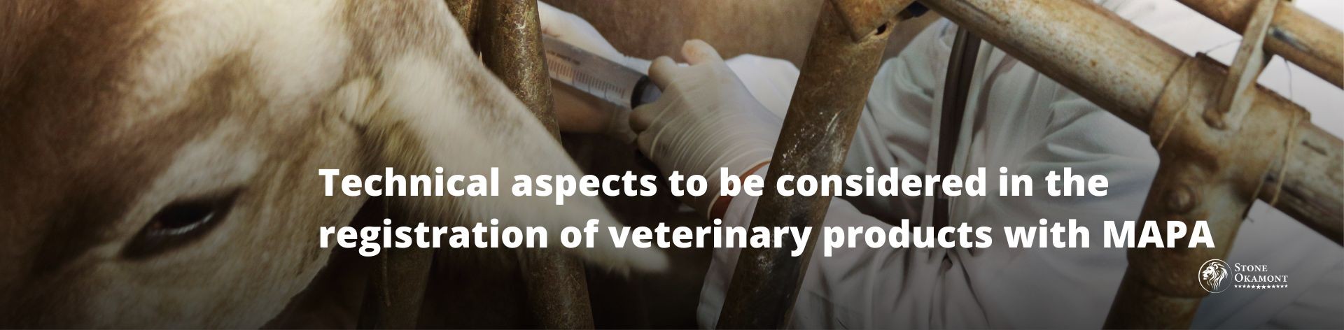 Technical aspects to be considered in the registration of veterinary products with MAPA