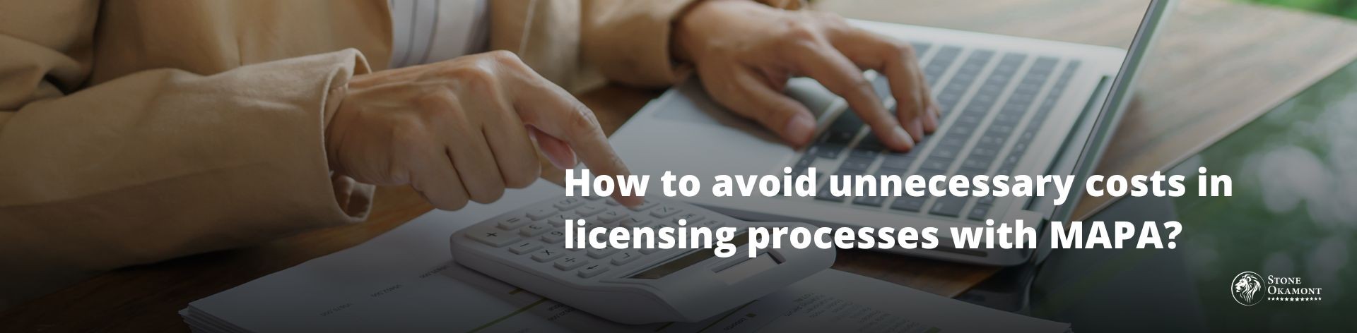How to avoid unnecessary costs in licensing processes with MAPA?