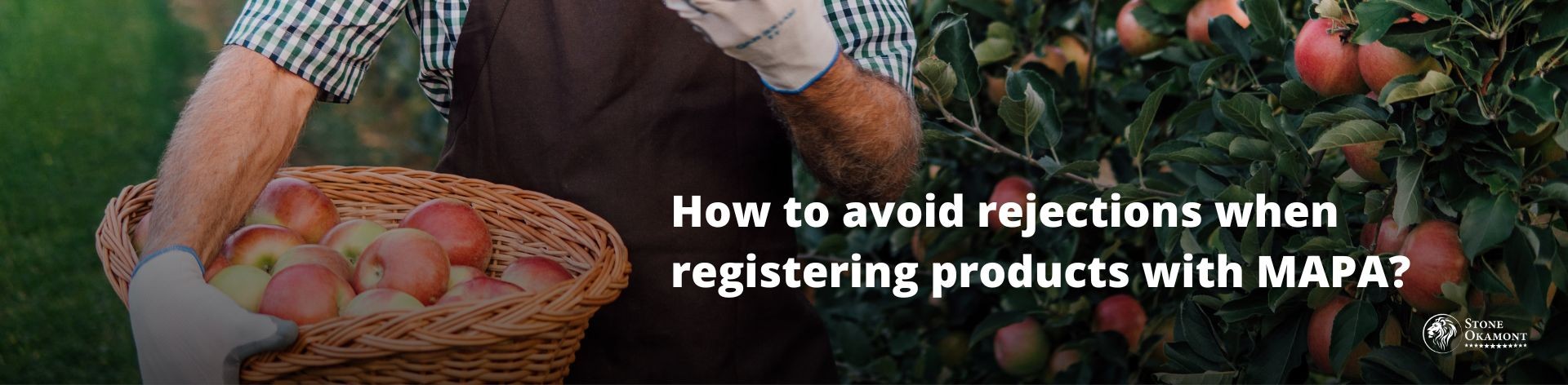 How to avoid rejections when registering products with MAPA?