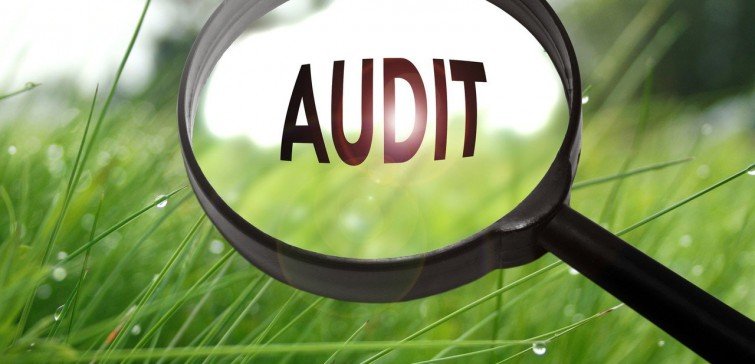 National and International Auditing