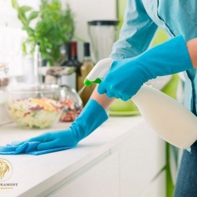How to register disinfectant at Anvisa