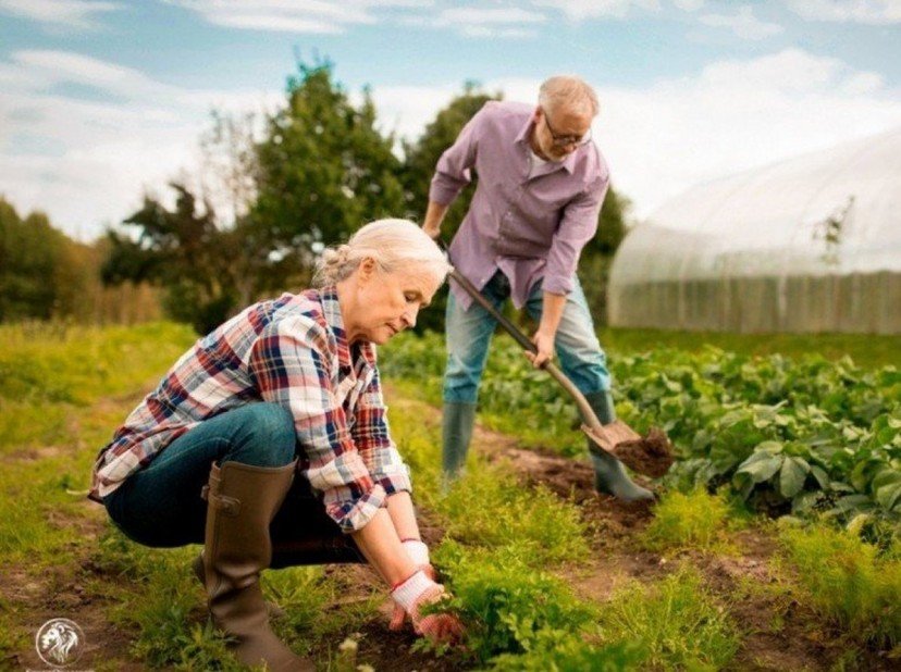 Organic Agriculture and Plant Protection Products