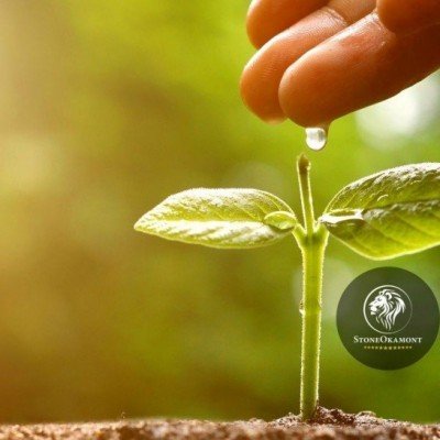 How to register inoculant in MAPA?
