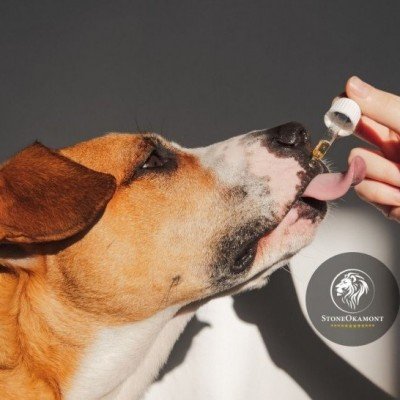 How to register food supplement for dogs?