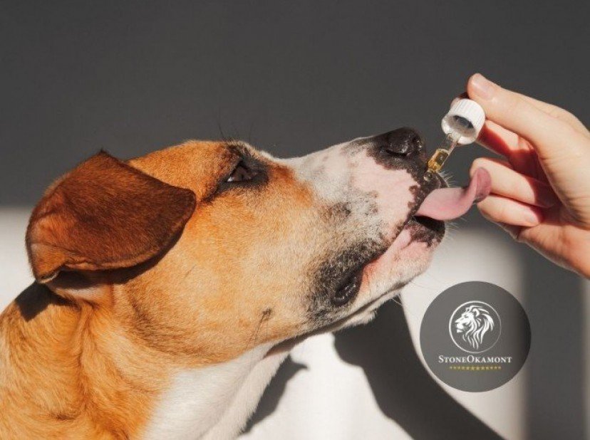 How to register food supplement for dogs?