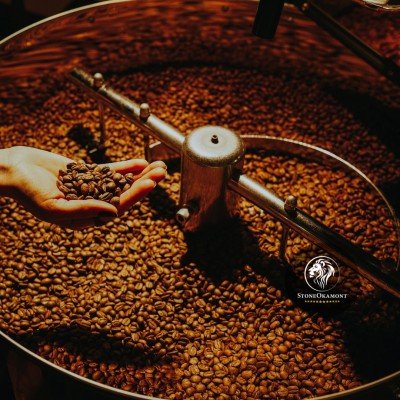 How to regularize coffee roasting?