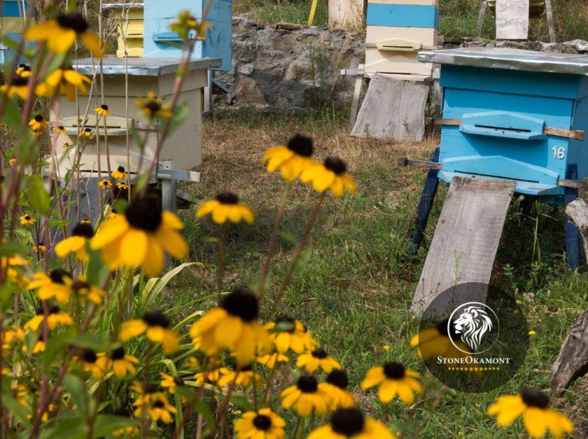 How is honey producers and resellers regularized?