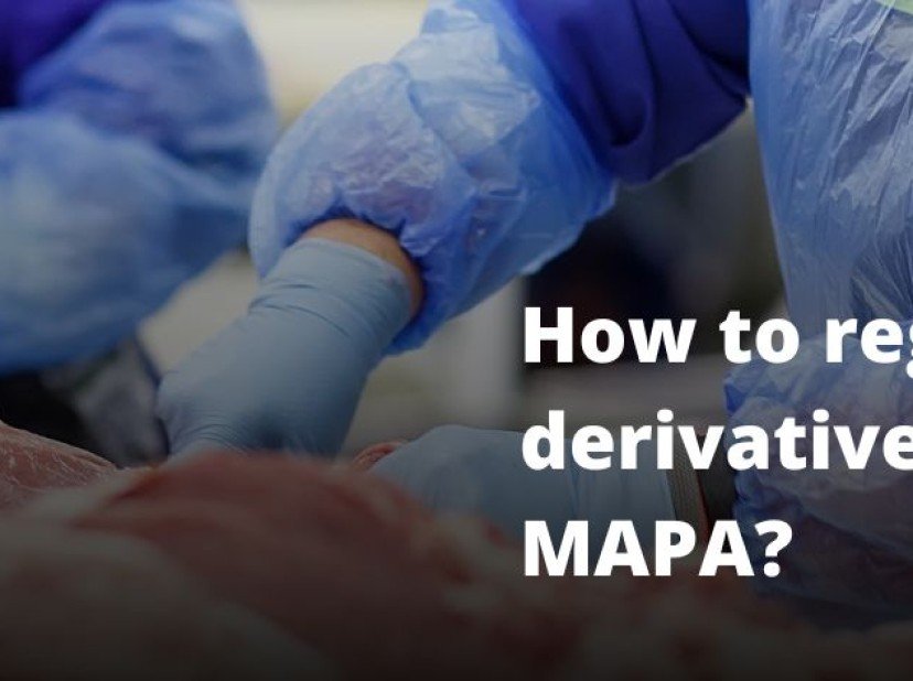 How to regularize a meat and derivatives establishment with MAPA?