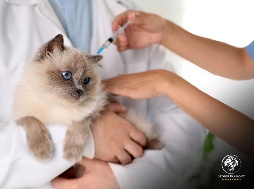 How to Regularize Veterinary Vaccines?