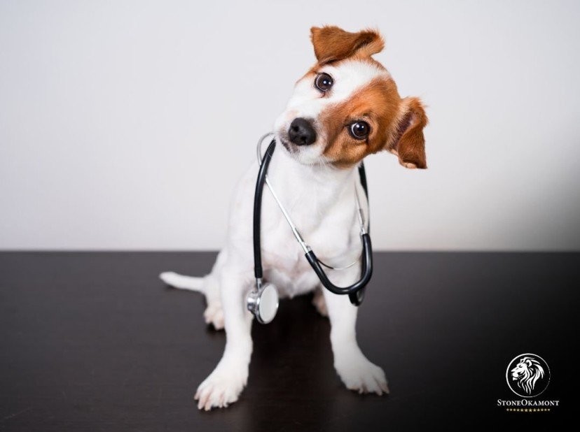 Requirements for Veterinary Product Registration