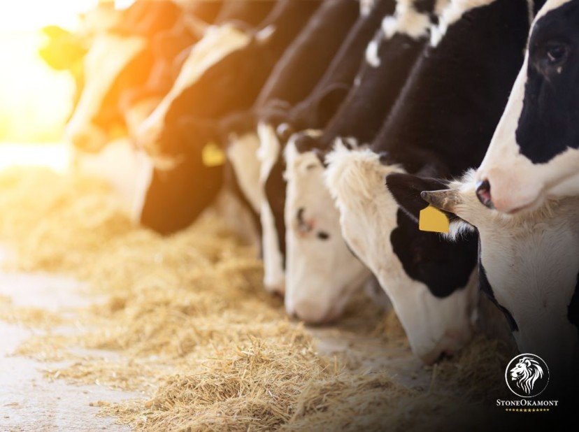 How to Regularize Health Products for Production Animals?