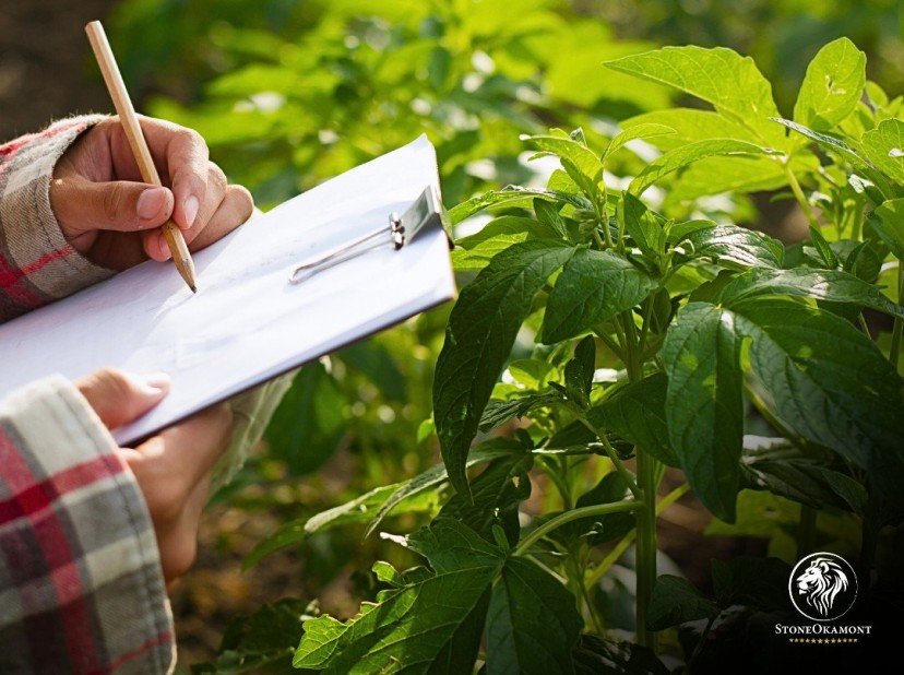 Which products need to be registered with MAPA?