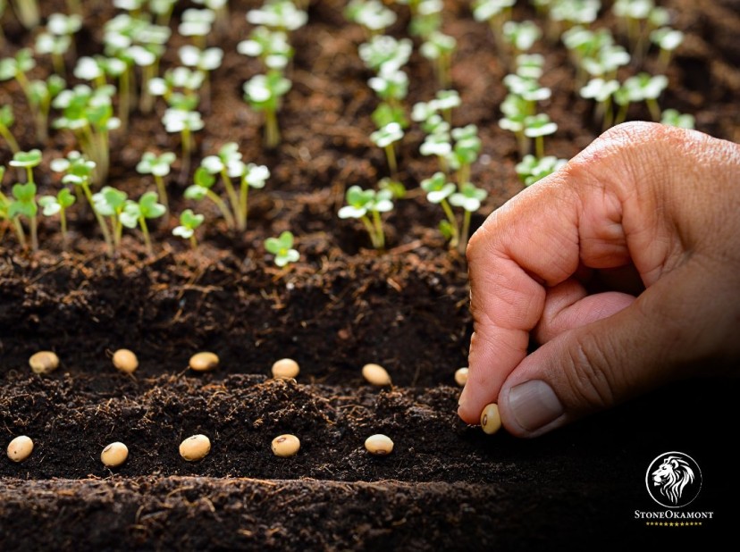 REGISTERING SEEDS WITH THE MAP: HOW DOES IT WORK?